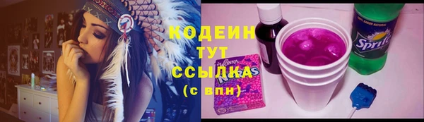тгк Абаза