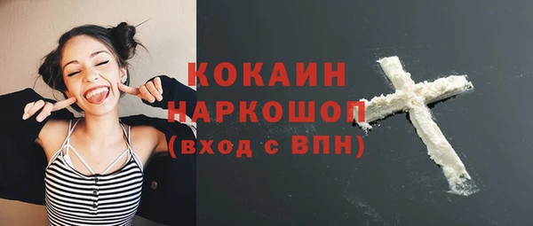 тгк Абаза