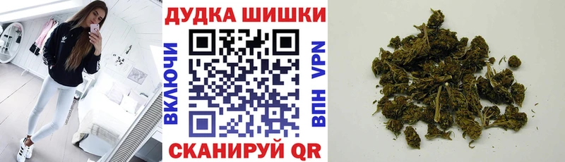 Бошки Шишки SATIVA & INDICA  мега ссылка  Алапаевск 